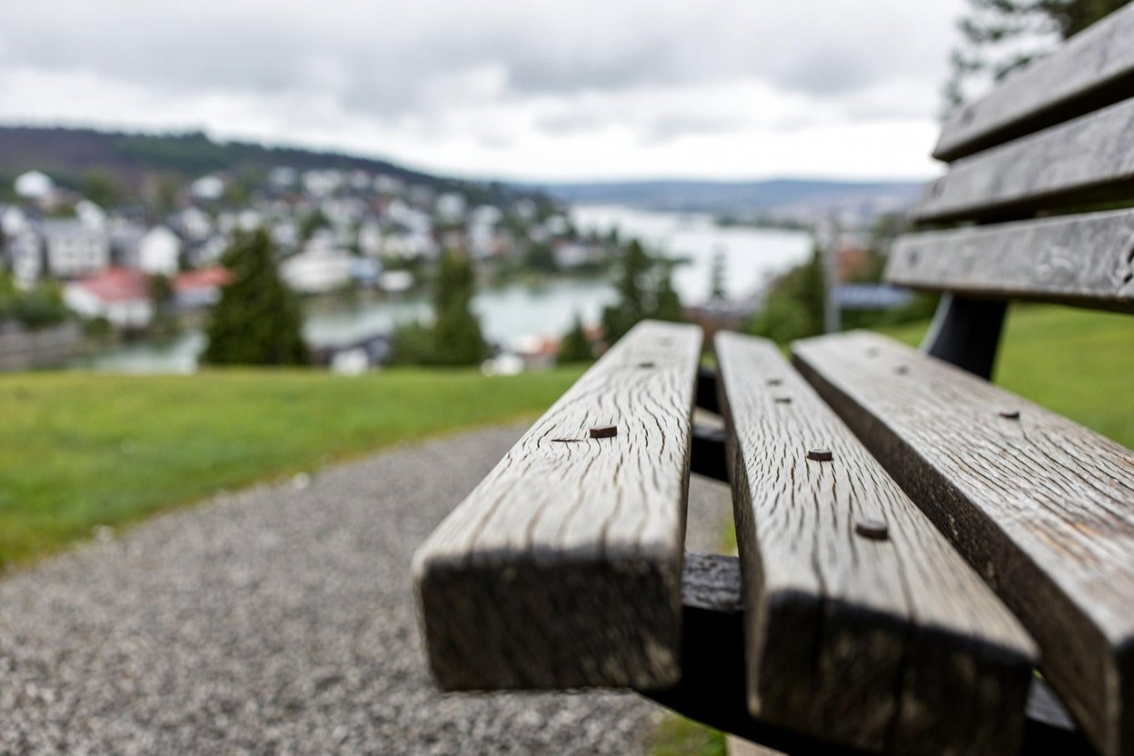 Port Coquitlam Neighbourhoods Explained in Port Coquitlam BC