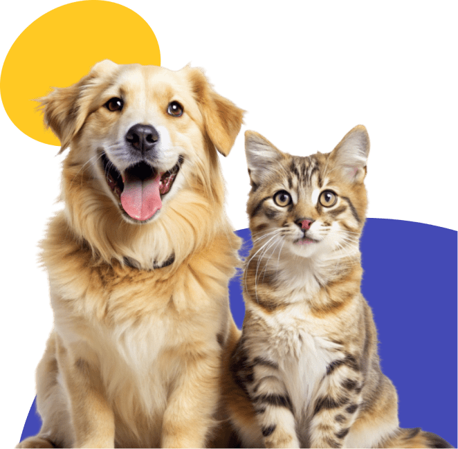 Tricity Animal Hospital, veterinary clinic in Lincoln, Port Coquitlam BC