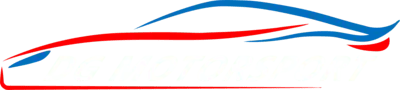 DG Motorsport logo